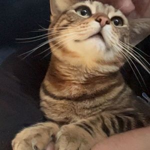 Meet your Posher, Sean